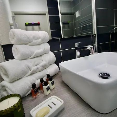 *t2*vue Garonne*piscine*garage* Toulouse